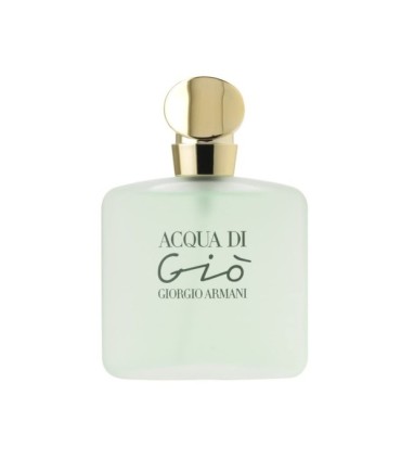 Giorgio Armani Acqua Di Gio Pour Femme Eau de Toilette 100ml.