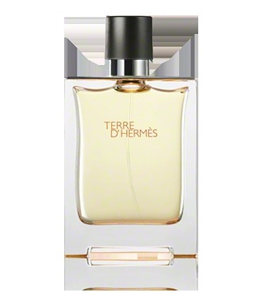 Hermes Terre D Hermes Eau de Toilette 100ml.