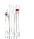 Kenzo Flower by Kenzo Eau de Toilette 50ml. UNBOX