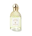 Guerlain Aqua Allegoria Nerolia Vetiver Eau de Toilette 125ml. UNBOX