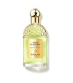 Guerlain Aqua Allegoria Forte Nerolia Vetiver Eau de Parfum 125ml. UNBOX