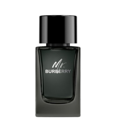 Burberry Mr Burberry Eau de Parfum 100ml. UNBOX